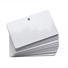 Evolis Plastic Cards, 100 pcs.